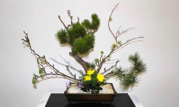 Cho Hoa Sống Lại