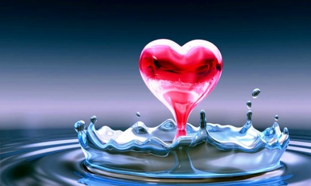 Lời Của Trái Tim