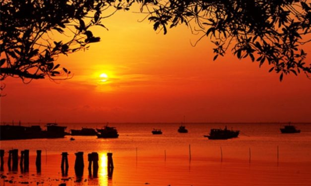 Chiều Vương Mắt Biếc