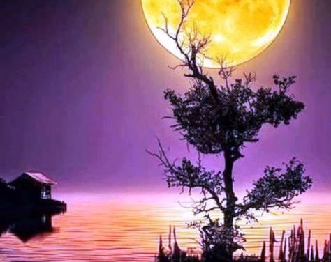 Nỗi Niềm Trong Đêm