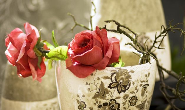 Từ Dạo Gặp Anh