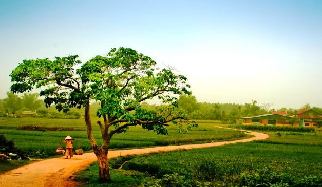 Lẻ Loi Một Mình