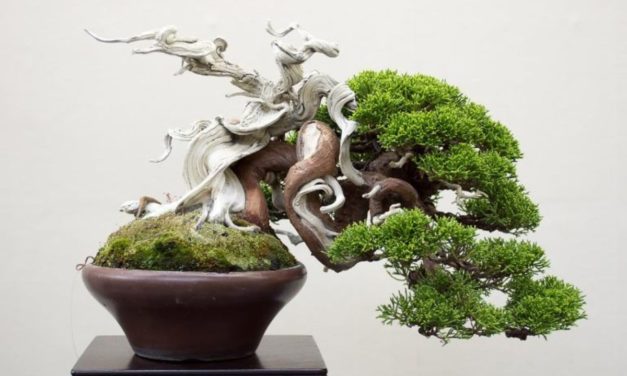 Hoài Vương Kỷ Niệm