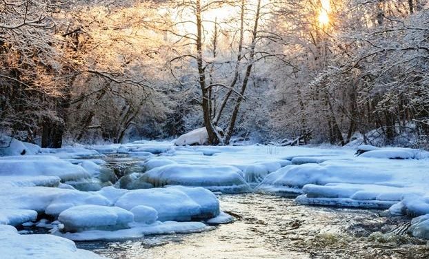 Tiết Đông Hoài  Niệm