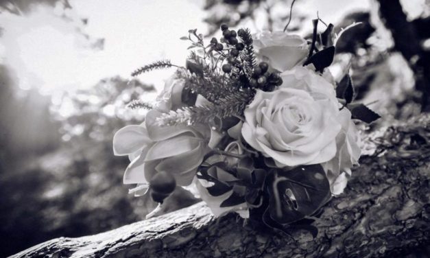 Nghịch Cảnh Trần Ai