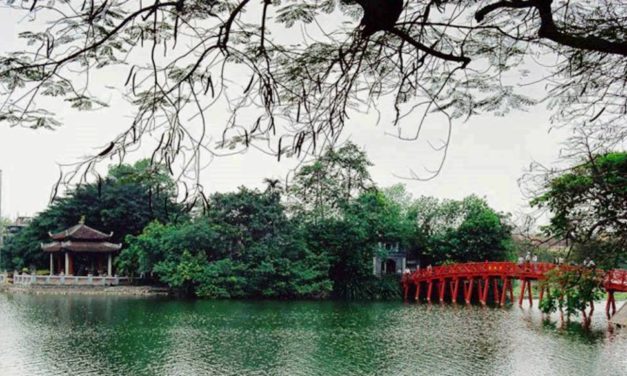 Cành Úa Rũ Rêu Phong