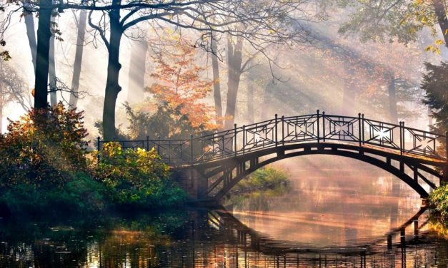 Sao Anh Nỡ Bội Câu Thề