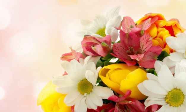 Có Phải Vội Vàng