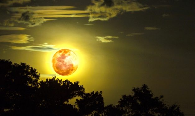 Khúc Oán Não Nề