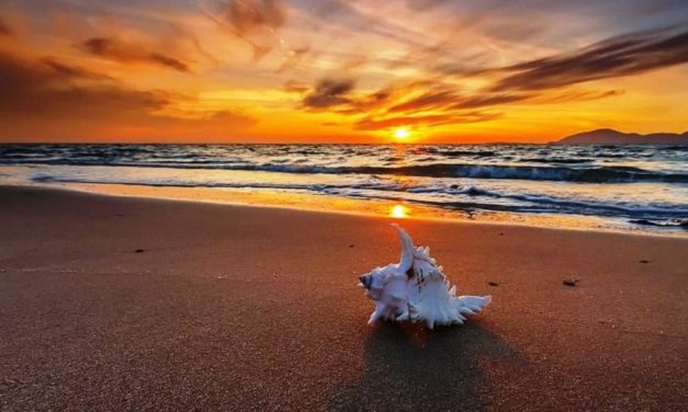 Thế Thái Nhân Tình – I