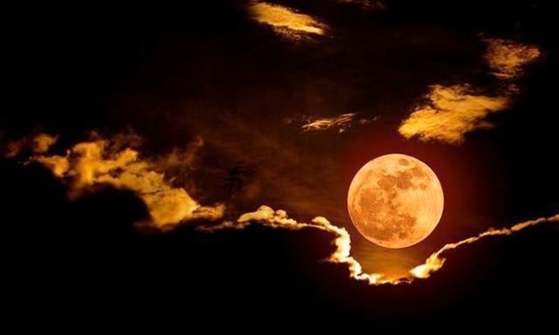 Thắt Quặn Dưới Trăng Mờ