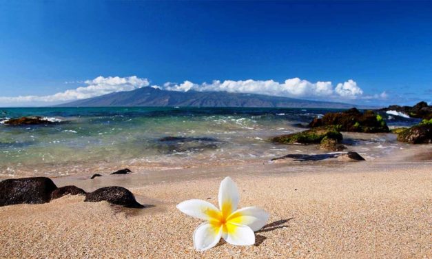 Sơn Khê Biền Biệt