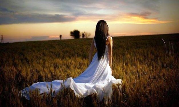 Xác Hồng Trải Bước Em Qua