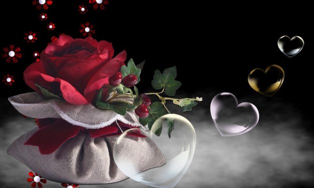 Mong Mình Có Được Niềm Vui