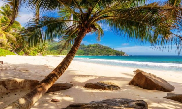 Tự Tình Nơi Biển Vắng