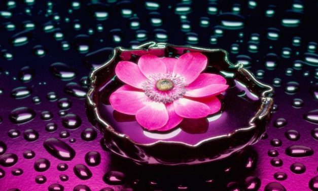 Nối Lại Cung Đàn