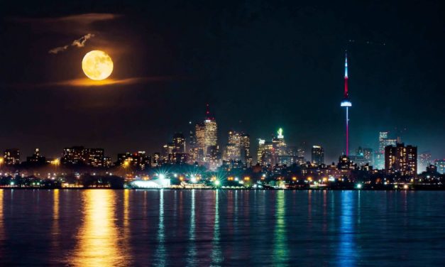 Đơn Chiếc Dưới Hoàng Hôn