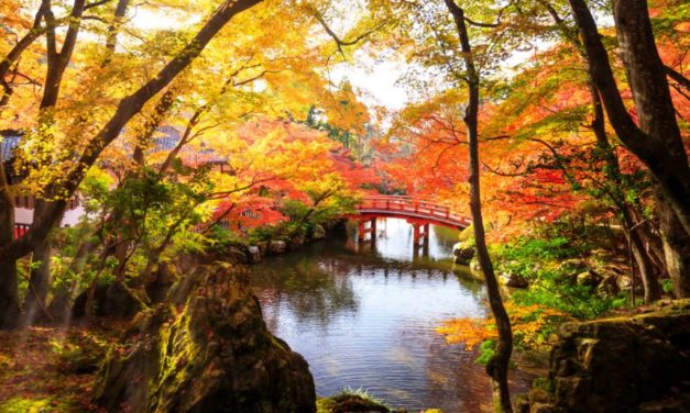 Trút Mảnh Tơ Lòng