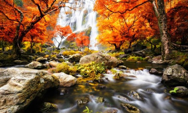 Đành Quên Ước Hẹn Năm Nào