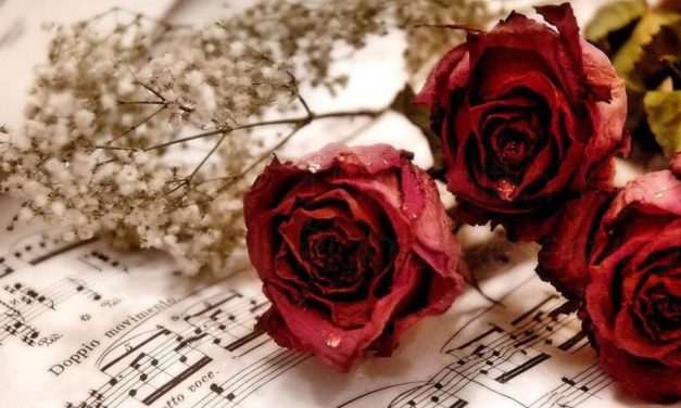 Nghệch Vần Thô Ý Vụng Thi