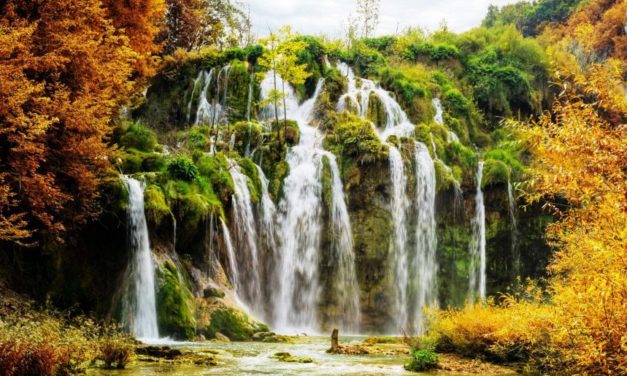 Tình Yêu Vĩnh Cửu