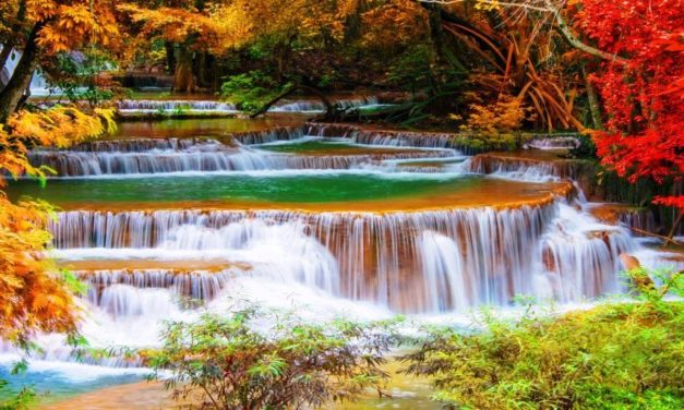 Nối Tiếp Cung Đàn