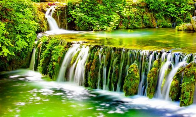 Én Nhạn Sum Vầy – I