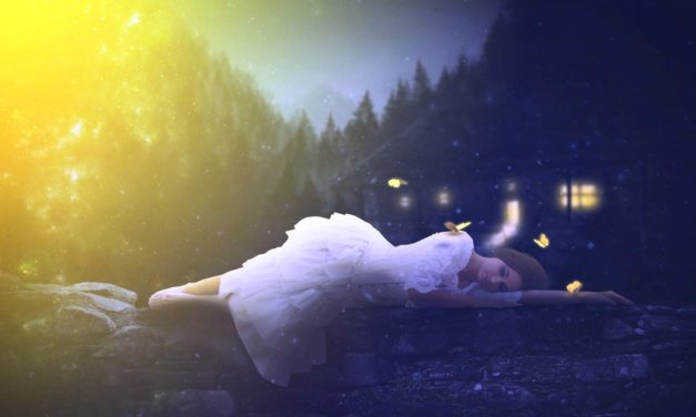 Cảm Tấm Tình Chung