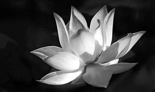 Khóc Tiễn Bạn Hiền