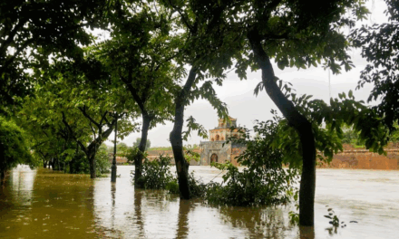 Lũ Về Trên Quê Anh